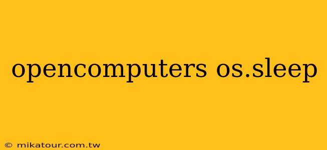 opencomputers os.sleep