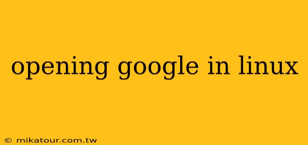 opening google in linux