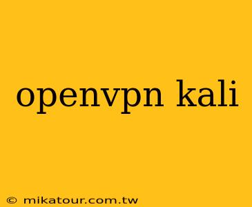 openvpn kali