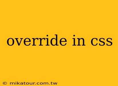 override in css