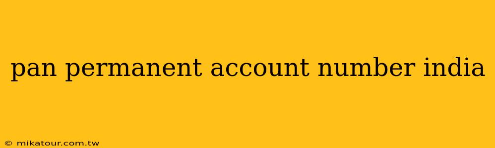 pan permanent account number india