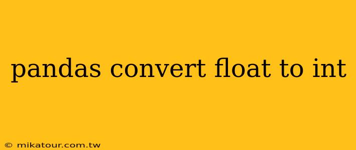 pandas convert float to int