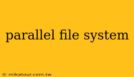 parallel file system