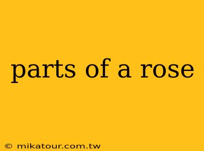 parts of a rose