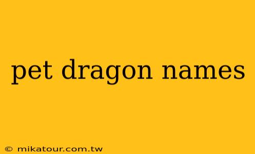 pet dragon names