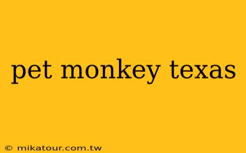 pet monkey texas