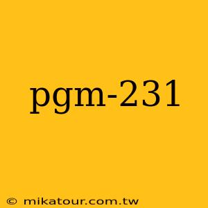 pgm-231