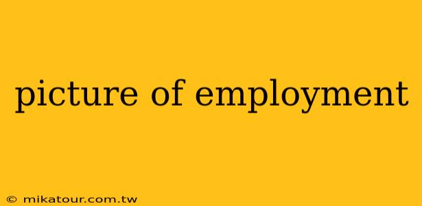 picture of employment