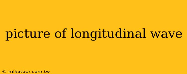 picture of longitudinal wave