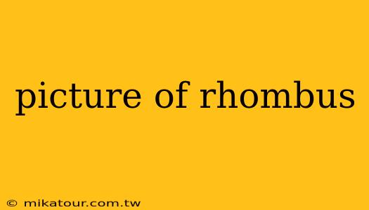 picture of rhombus