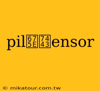 pil杞瑃ensor