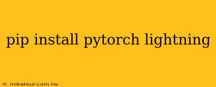 pip install pytorch lightning