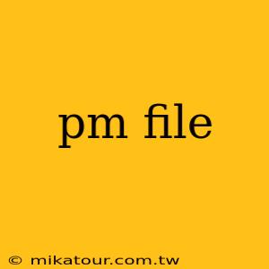 pm file