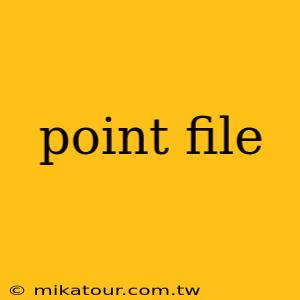 point file