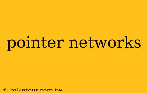 pointer networks