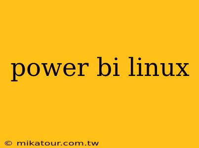 power bi linux