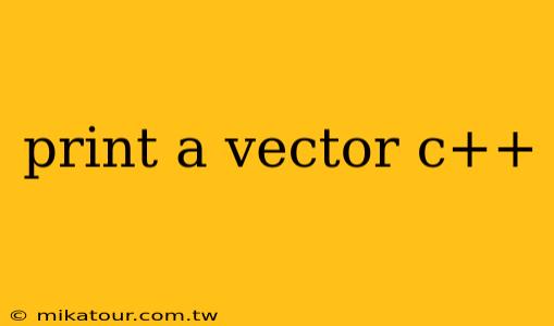 print a vector c++