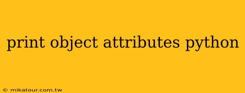 print object attributes python