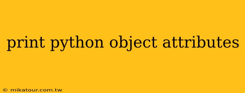 print python object attributes