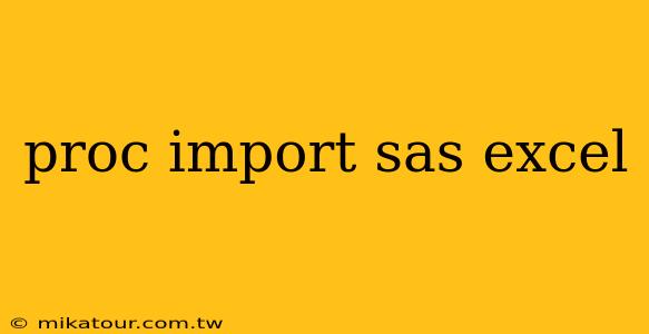 proc import sas excel