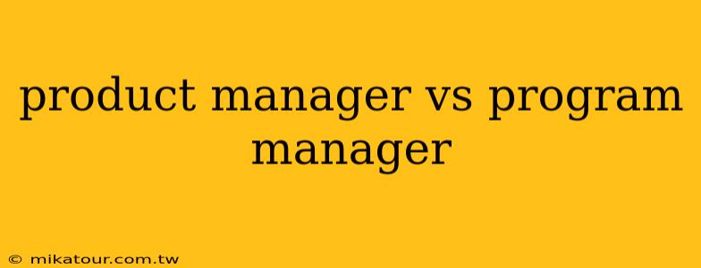 product manager vs program manager