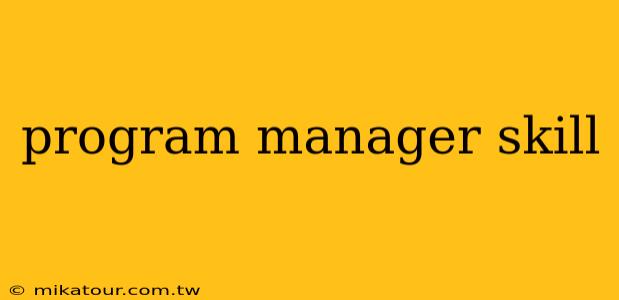 program manager skill