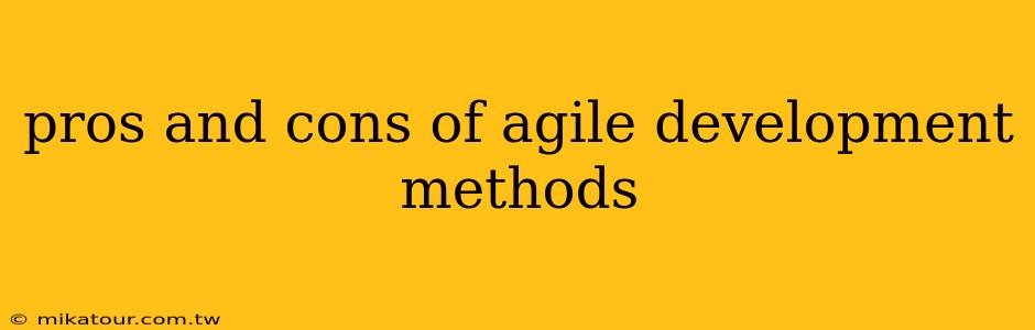 pros and cons of agile development methods