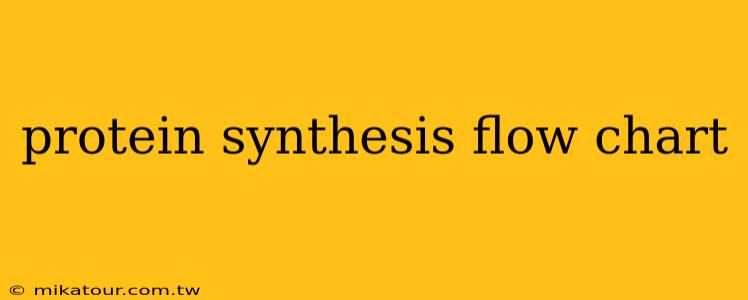 protein synthesis flow chart