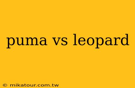 puma vs leopard