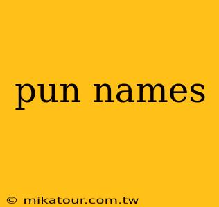 pun names