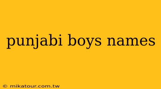 punjabi boys names