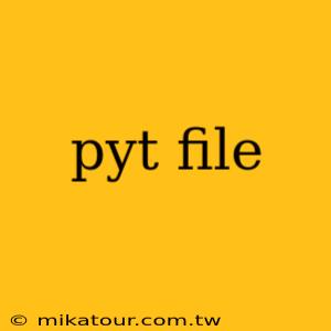 pyt file