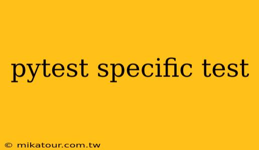 pytest specific test