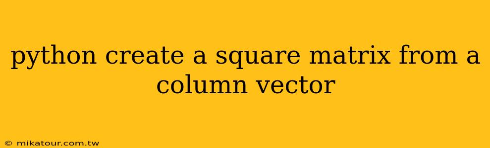 python create a square matrix from a column vector