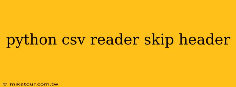 python csv reader skip header