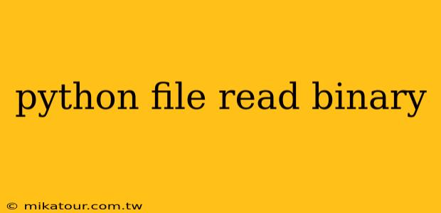 python file read binary