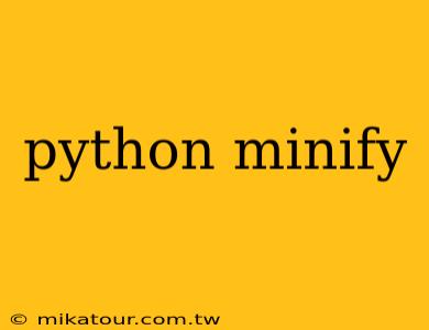 python minify