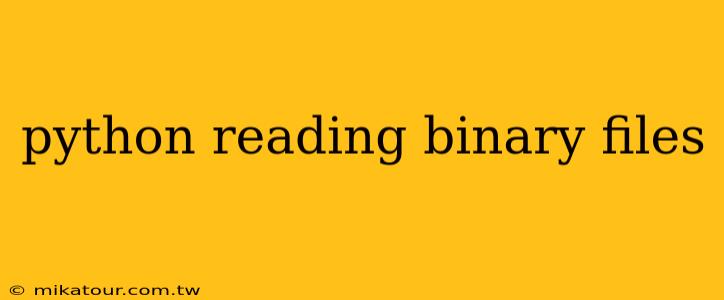 python reading binary files