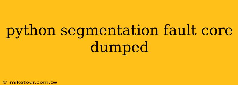 python segmentation fault core dumped