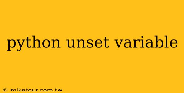 python unset variable