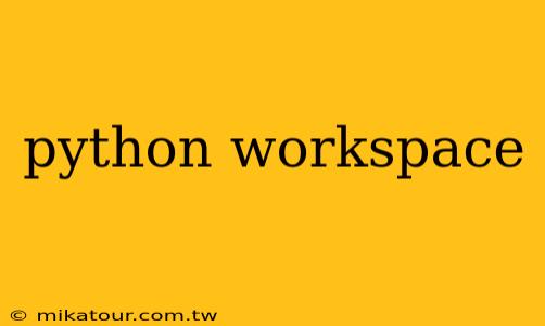 python workspace