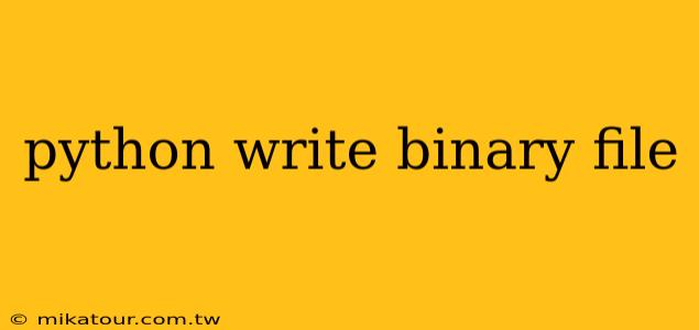 python write binary file