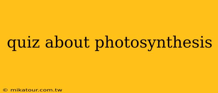 quiz about photosynthesis