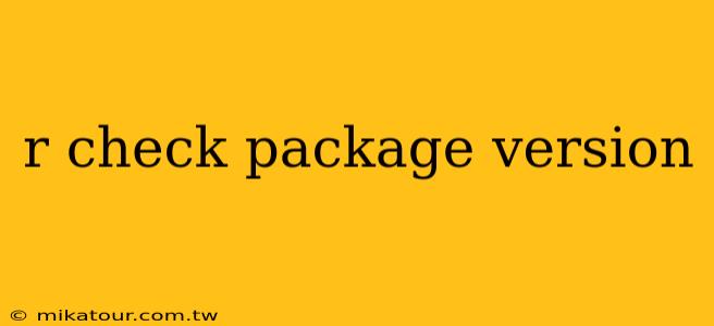 r check package version