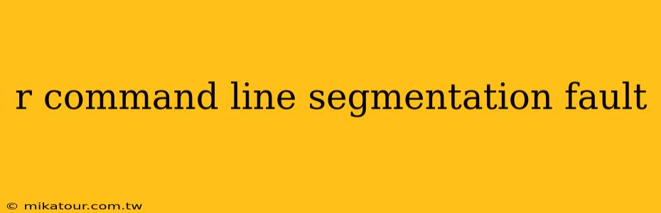 r command line segmentation fault