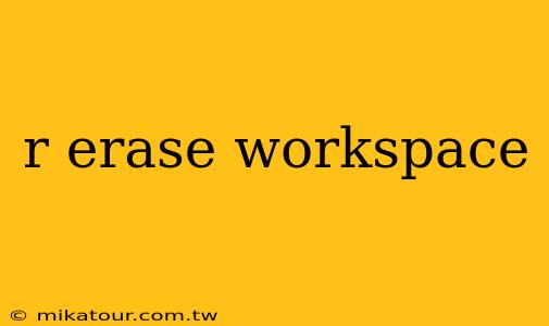 r erase workspace