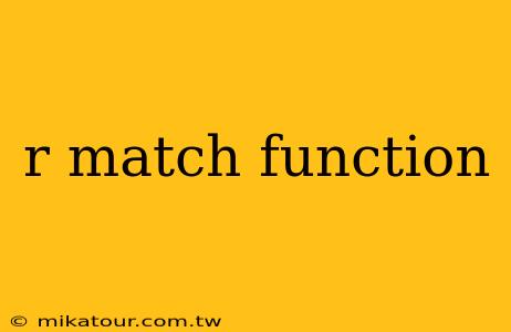 r match function