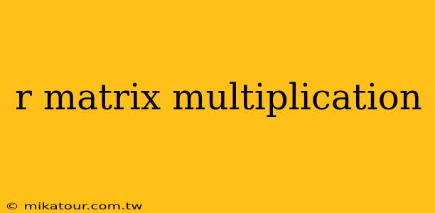 r matrix multiplication