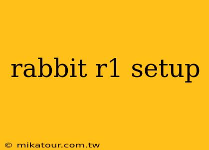 rabbit r1 setup