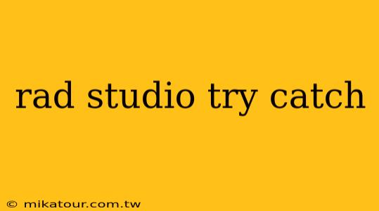 rad studio try catch